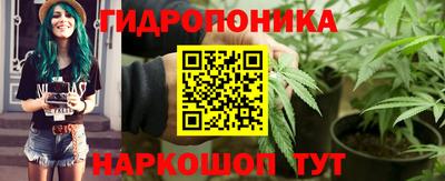 молекула духа Заволжье