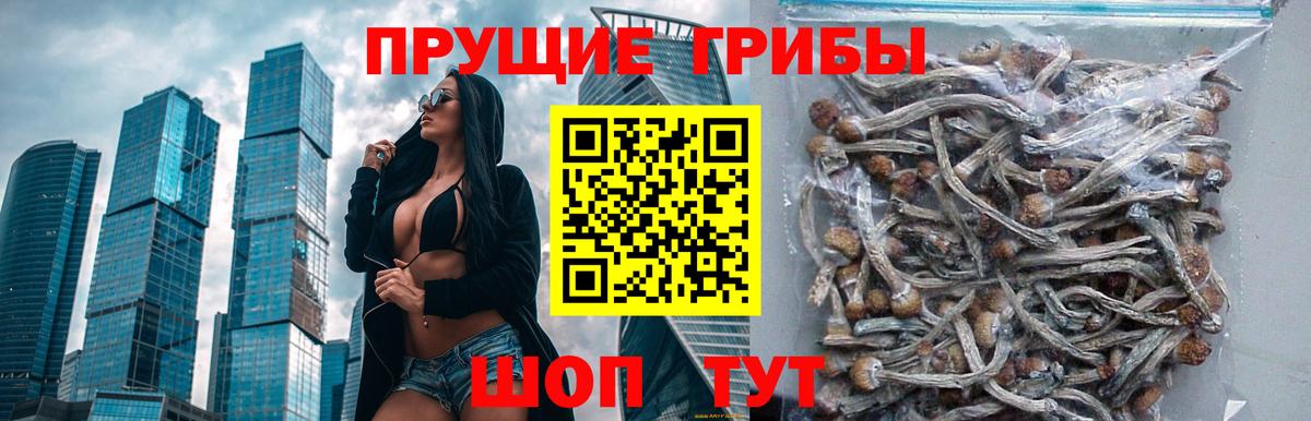 Галлюциногенные грибы MAGIC MUSHROOMS  Вход с VPN  Мурманск 