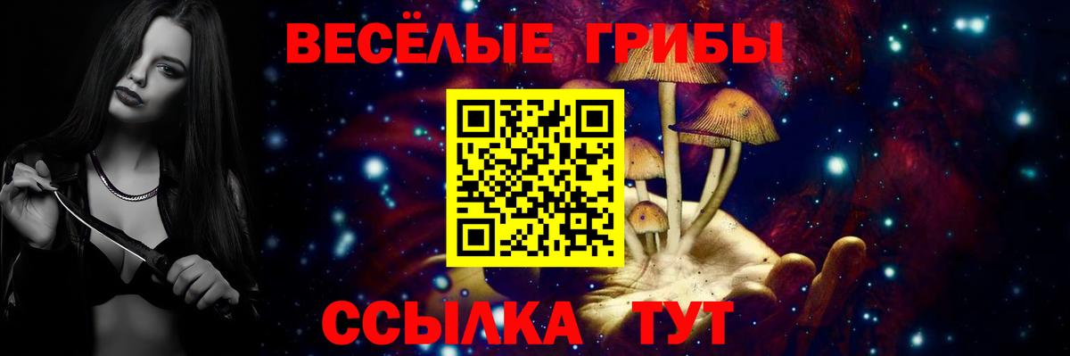 Галлюциногенные грибы мицелий Мурманск